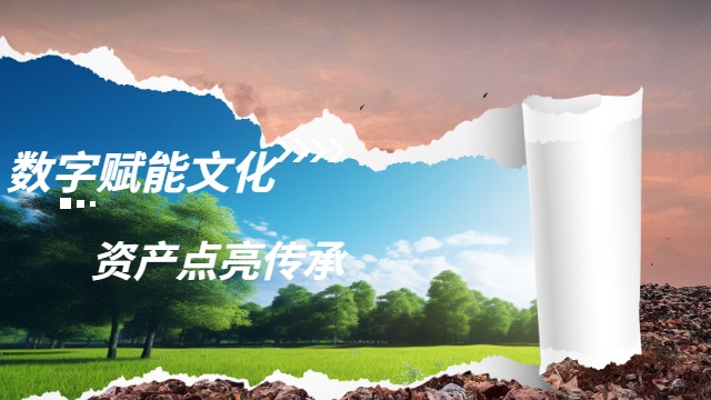 厦门智能管控文化数字资产保护,文化数字资产