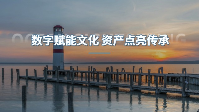 正規(guī)文化數(shù)字資產(chǎn)功能,文化數(shù)字資產(chǎn)