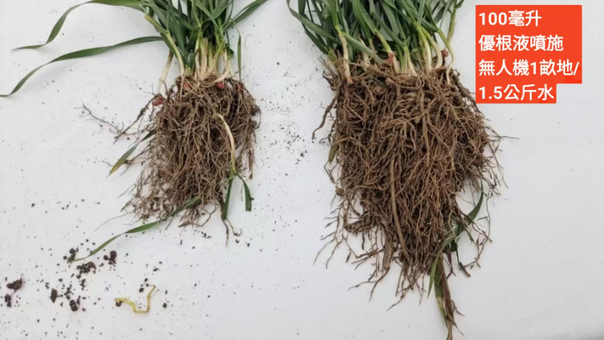 上海批發氨基酸水溶肥經銷商 歡迎來電 內蒙古中工鑫景化工供應