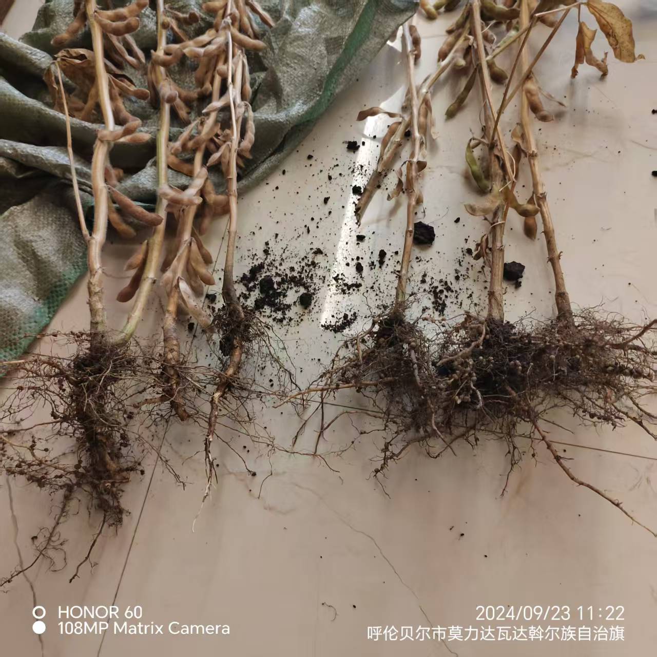 对比图