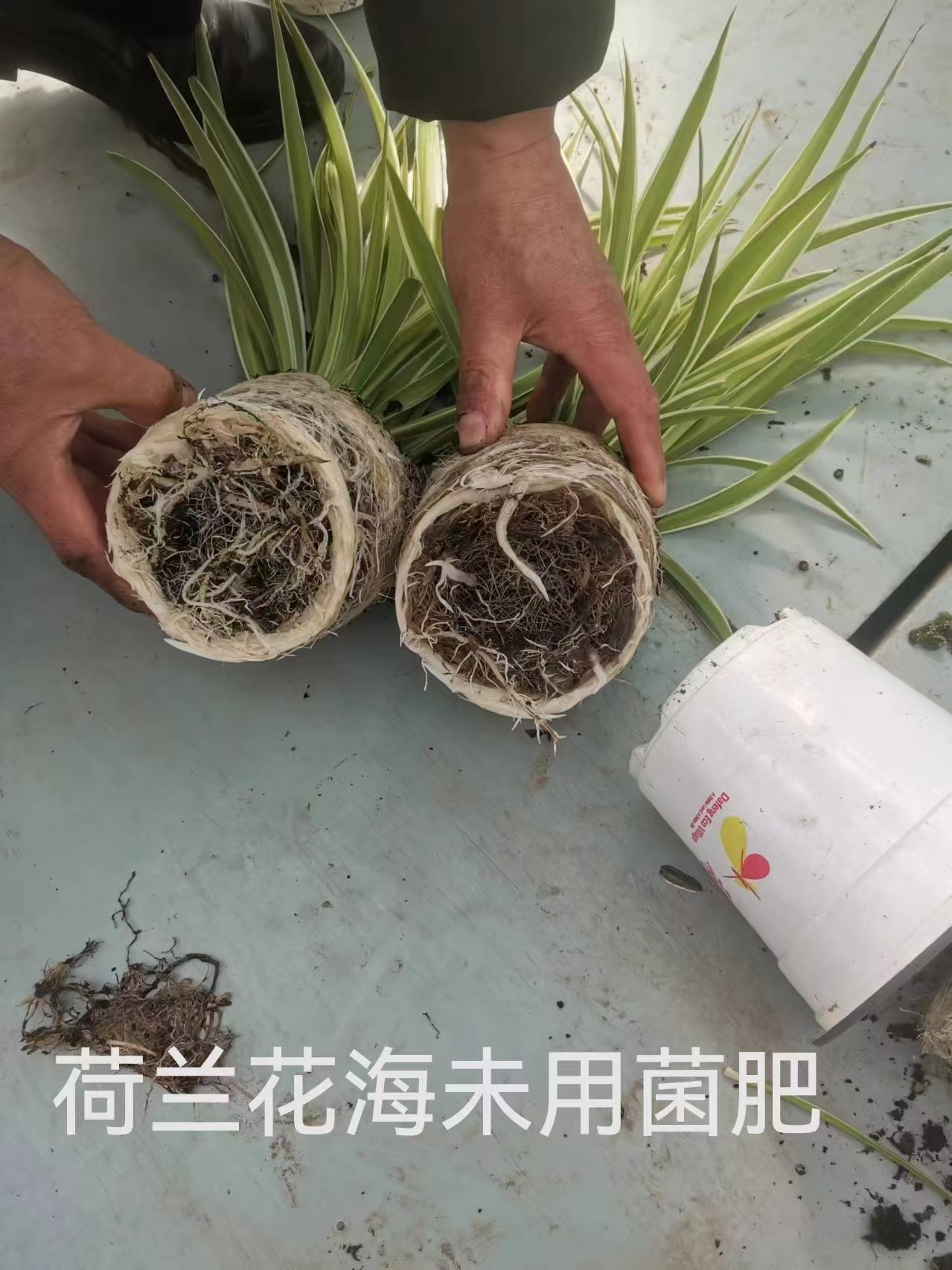 案例