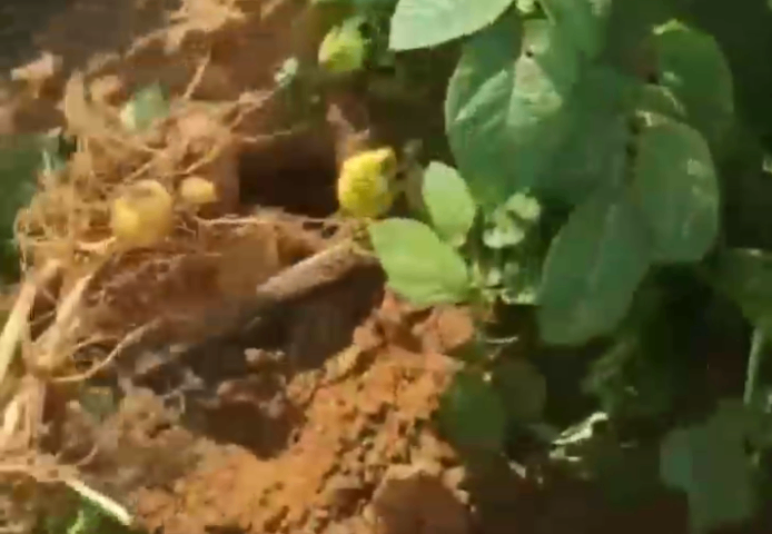 貴州什么是優(yōu)根源功能性液態(tài)有機肥哪里有賣的 歡迎來電 內蒙古中工鑫景化工供應