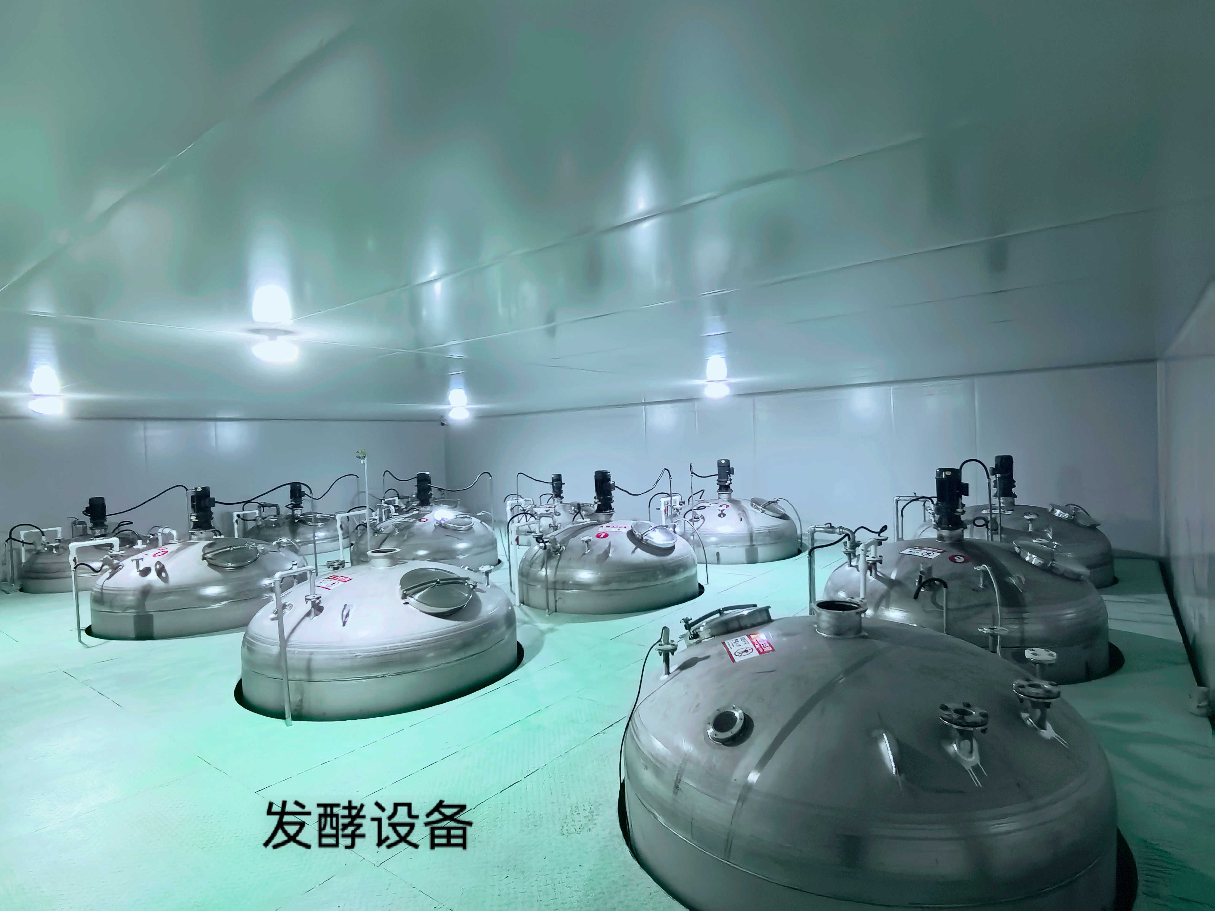 发酵车间