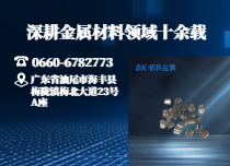 铂铱显影环