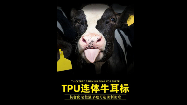 湖南学校图书档案管理RFID电子标签厂家排名