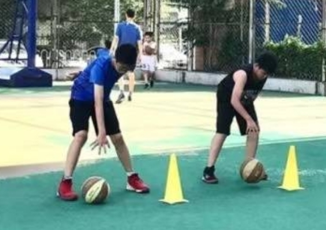 金坛区特色服务体育类培训咨询 中鉴供应;