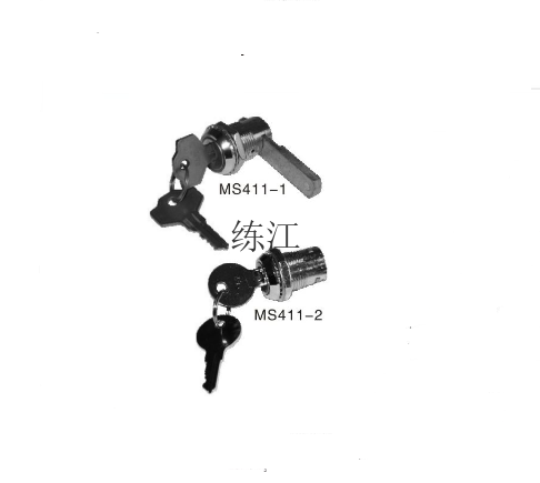 MS411