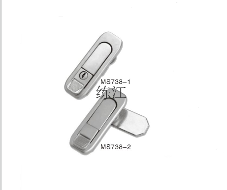 MS738