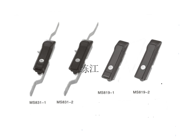 MS819