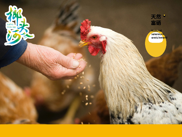 河北騙局曝光富硒雞蛋監測 真誠推薦 邢臺榔頭河農業發展供應