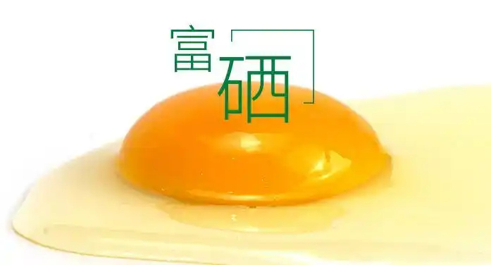 邢臺品牌邢臺富硒雞蛋量大優(yōu)惠,邢臺富硒雞蛋