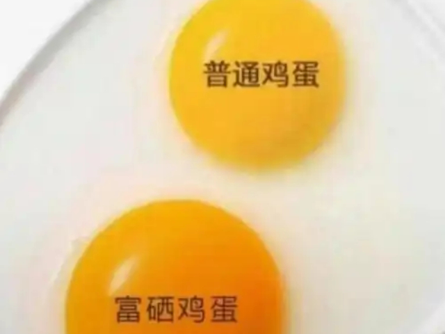 邢台粉壳邢台富硒鸡蛋量大优惠 客户至上 邢台榔头河农业发展供应
