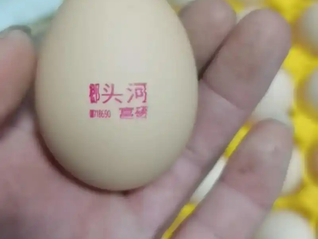 河北富硒雞蛋生產(chǎn)技術(shù)和普通雞蛋的區(qū)別 歡迎咨詢 邢臺(tái)榔頭河農(nóng)業(yè)發(fā)展供應(yīng)