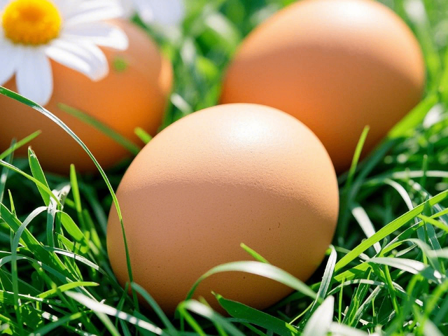 河北進口富硒雞蛋價格 服務(wù)至上 邢臺榔頭河農(nóng)業(yè)發(fā)展供應(yīng)