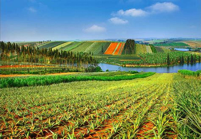 上海農(nóng)業(yè)配送,農(nóng)業(yè)