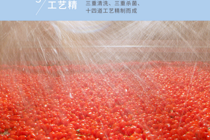 銀川無農(nóng)殘枸杞怎么種植 寧夏沃福百瑞枸杞產(chǎn)業(yè)股份供應(yīng)