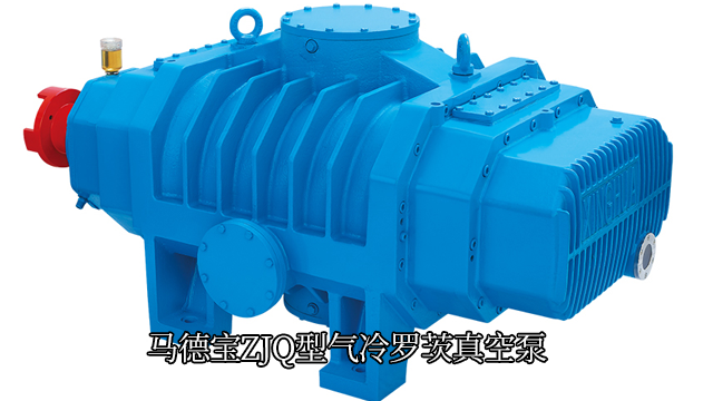 浙江真空泵羅茨真空泵說明書 歡迎咨詢 馬德寶真空設(shè)備集團(tuán)供應(yīng)