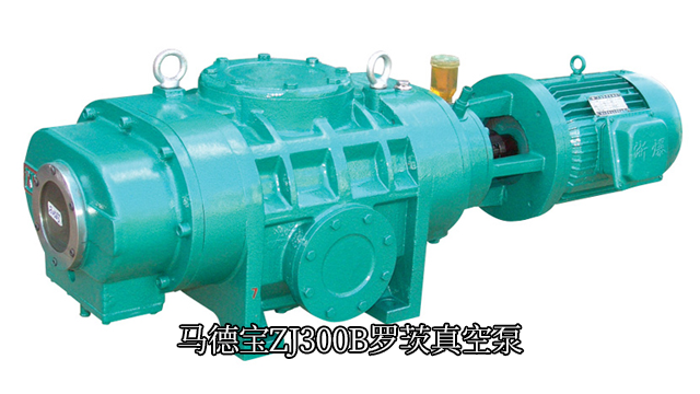 浙江磁力驅動羅茨真空泵采購 信息推薦 馬德寶真空設備集團供應