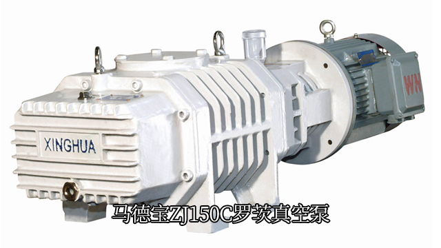 浙江羅茨泵羅茨真空泵批發(fā) 歡迎咨詢 馬德寶真空設(shè)備集團(tuán)供應(yīng)