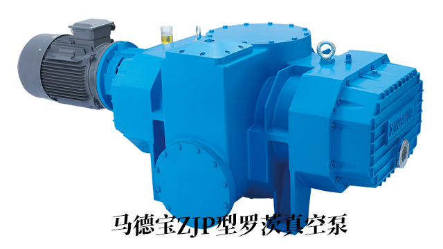 浙江真空泵厂家头部广发·体育 欢迎来电 马德宝真空设备集团供应