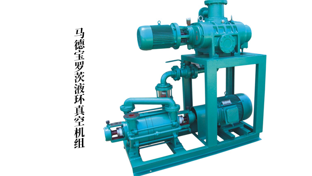 上海羅茨真空機組廠家直銷 歡迎來電 馬德寶真空設備集團供應