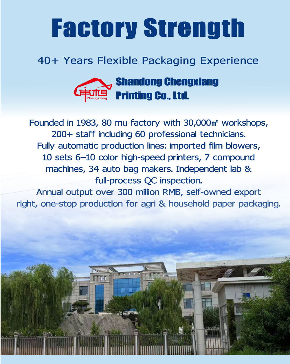 Double-Layer Composite Granular Pesticide Packaging Bags