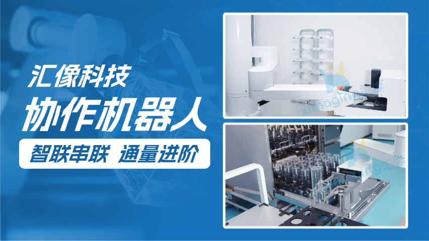 海口協(xié)作機(jī)器人廠家 來電咨詢 匯像智能科技供應(yīng)