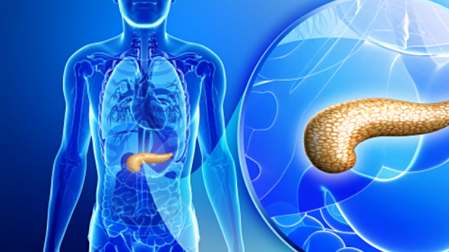 江蘇什么是結(jié)石臨床解決方案生產(chǎn)廠家 南京萬灃生物醫(yī)學(xué)供應(yīng)