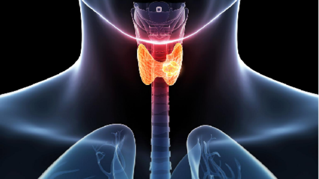 上海什么樣結(jié)節(jié)專科解決方案處理方法 南京萬灃生物醫(yī)學(xué)供應(yīng)