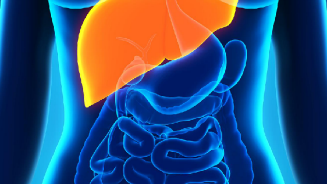 江蘇有哪些保膽取石解決方案哪個(gè)好 南京萬(wàn)灃生物醫(yī)學(xué)供應(yīng)