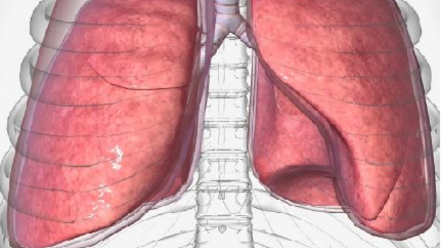 江蘇那種結節專科解決方案詢問報價 南京萬灃生物醫學供應