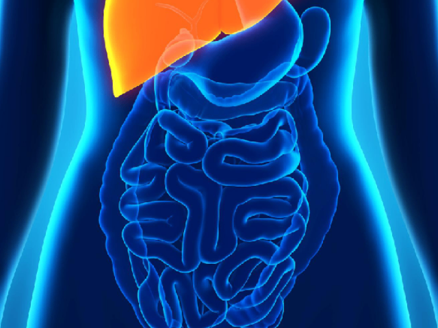 上海什么是保膽取石解決方案 南京萬灃生物醫(yī)學(xué)供應(yīng)