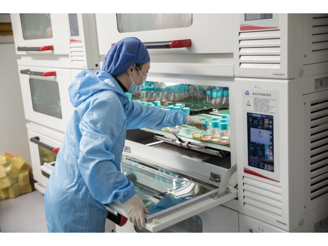 福建IL-21生产商 北京科昕生物科技供应