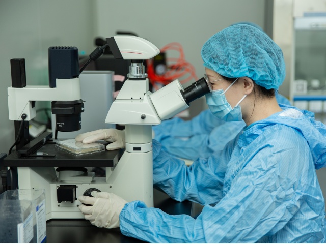 廣東IL-6批量采購 北京科昕生物科技供應(yīng)