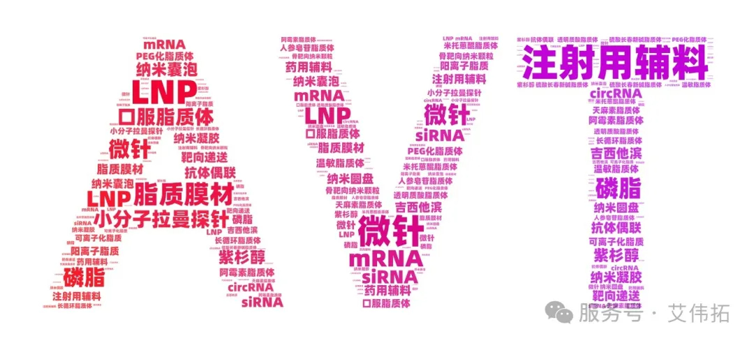 回顧2024年“艾基金”年度報告 | 感恩同行 再啟新程