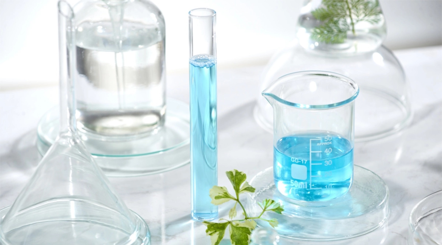 藥用輔料登記數據分析報告