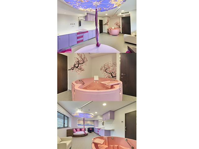 河南海鷗水中分娩浴缸購買渠道,水中分娩浴缸