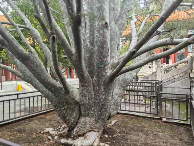 长沙县诈骗案输了还收费吗 湖南三协律师事务供应