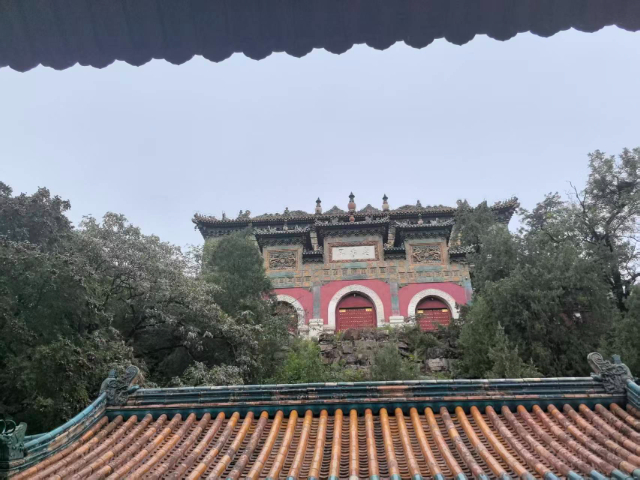 鶴城區(qū)律師辯護哪家強