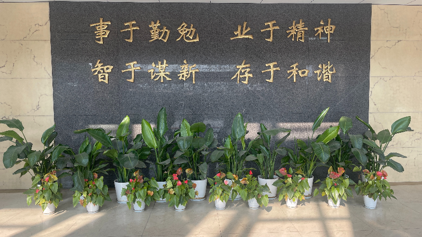 化妝品顏料技術(shù)支持 杭州前進科技供應(yīng)