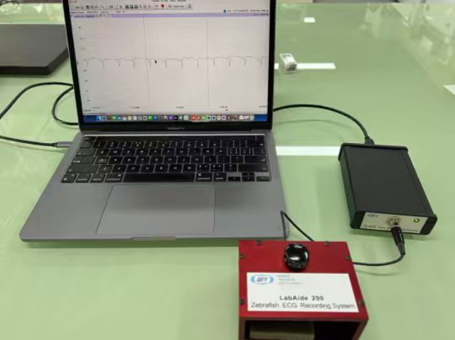 山东省肌电图记录仪招商