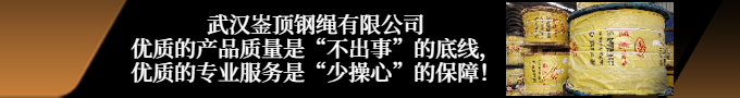 贵州巨龙钢绳