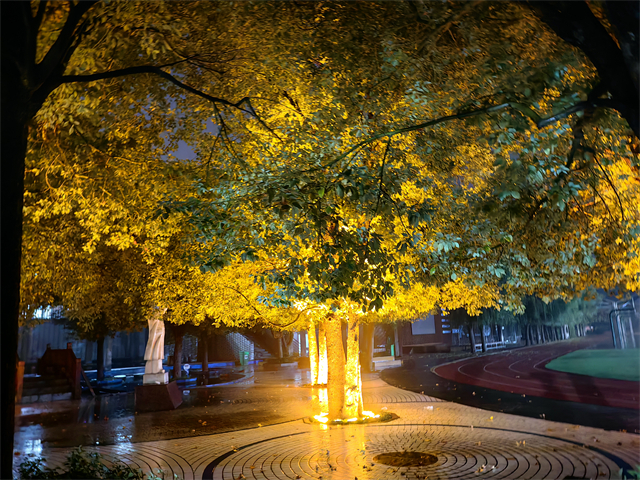 洛陽東明往屆高考復(fù)讀民辦學校升學率咋樣 洛陽市東明外語實驗學校供應(yīng)