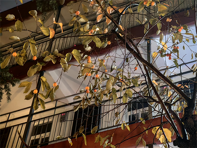 洛陽澗西區(qū)私立高考復(fù)讀班通過率高的學(xué)校 洛陽市東明外語實(shí)驗(yàn)學(xué)校供應(yīng)