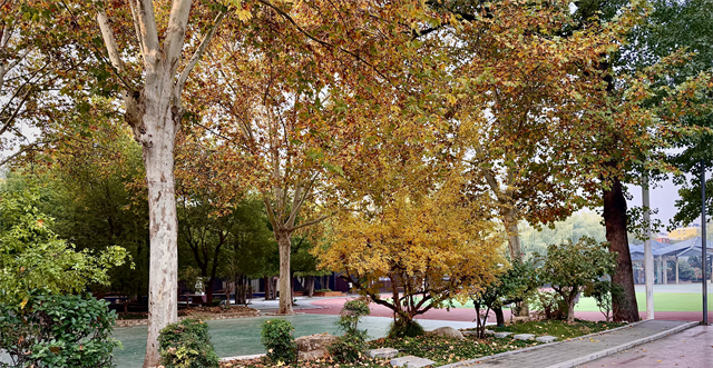 澗西區編導藝考集訓學校