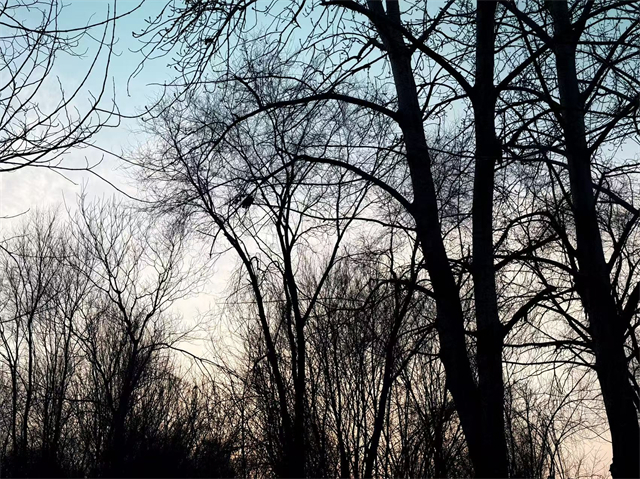 洛陽澗西區(qū)東明高考復(fù)讀私立學(xué)校外語教學(xué)水平咋樣,東明