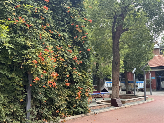 洛陽澗西區(qū)智慧教學的民辦高中升學率 洛陽市東明外語實驗學校供應(yīng)