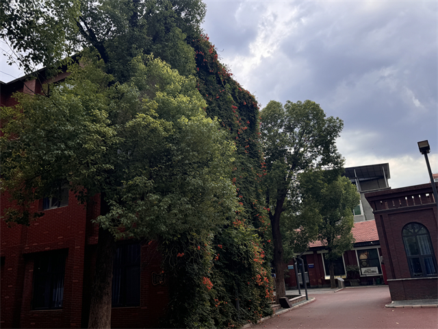 澗西區(qū)因材施教的私立初中排名