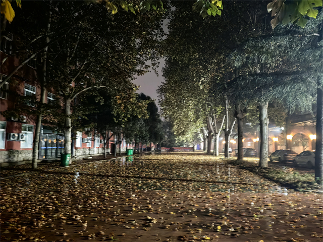 洛陽智慧教學初中轉學要求 洛陽市東明外語實驗學校供應