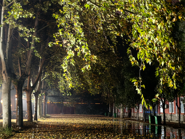 洛陽(yáng)澗西區(qū)擁有特高級(jí)教師的民辦初中排名 洛陽(yáng)市東明外語(yǔ)實(shí)驗(yàn)學(xué)校供應(yīng)